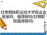 甘肃钢铁职业技术学院含金量量吗，值得报吗(甘钢职院值得报吗)