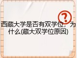 西藏大学是否有双学位，为什么(藏大双学位原因)