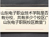 山东电子职业技术学院是否有分校，共有多少个校区("山东电子职院校区数量")