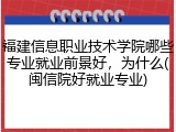 福建信息职业技术学院哪些专业就业前景好，为什么(闽信院好就业专业)