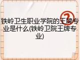 铁岭卫生职业学院的王牌专业是什么(铁岭卫院王牌专业)