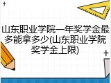 山东职业学院一年奖学金最多能拿多少(山东职业学院奖学金上限)