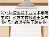 河北轨道运输职业技术学院主攻什么方向有哪些王牌专业(河北轨道学院王牌专业)