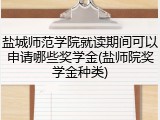 盐城师范学院就读期间可以申请哪些奖学金(盐师院奖学金种类)