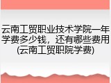 云南工贸职业技术学院一年学费多少钱，还有哪些费用(云南工贸职院学费)