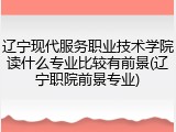 辽宁现代服务职业技术学院读什么专业比较有前景(辽宁职院前景专业)