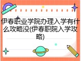 伊春职业学院办理入学有什么攻略没(伊春职院入学攻略)