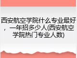 西安航空学院什么专业最好，一年招多少人(西安航空学院热门专业人数)