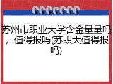 苏州市职业大学含金量量吗，值得报吗(苏职大值得报吗)