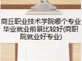 商丘职业技术学院哪个专业毕业就业前景比较好(商职院就业好专业)
