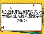 山东胜利职业学院要多少分才能进(山东胜利职业学院录取分)