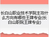 长白山职业技术学院主攻什么方向有哪些王牌专业(长白山职院王牌专业)