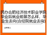 民办合肥经济技术职业学院毕业后就业前景怎么样，毕业生去向(合经院就业去向)