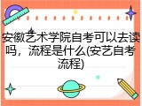 安徽艺术学院自考可以去读吗，流程是什么(安艺自考流程)