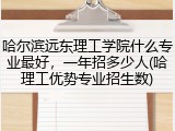 哈尔滨远东理工学院什么专业最好，一年招多少人(哈理工优势专业招生数)