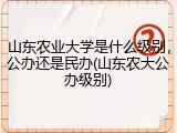 山东农业大学是什么级别，公办还是民办(山东农大公办级别)