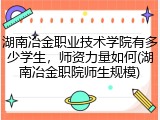 湖南冶金职业技术学院有多少学生，师资力量如何(湖南冶金职院师生规模)