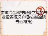 安徽冶金科技职业学院的专业设置概况介绍(安徽冶院专业概览)