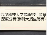 武汉科技大学最新招生简章深度分析(武科大招生简析)