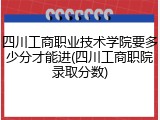 四川工商职业技术学院要多少分才能进(四川工商职院录取分数)