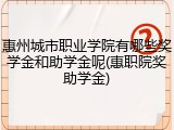 惠州城市职业学院有哪些奖学金和助学金呢(惠职院奖助学金)