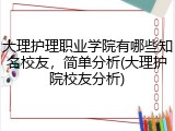大理护理职业学院有哪些知名校友，简单分析(大理护院校友分析)