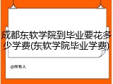 成都东软学院到毕业要花多少学费(东软学院毕业学费)