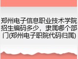 郑州电子信息职业技术学院招生编码多少，隶属哪个部门(郑州电子职院代码归属)