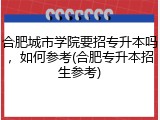 合肥城市学院要招专升本吗，如何参考(合肥专升本招生参考)