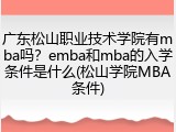 广东松山职业技术学院有mba吗？emba和mba的入学条件是什么(松山学院MBA条件)