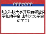 山东科技大学开设有哪些奖学和助学金(山科大奖学金助学金)