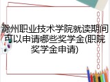 滁州职业技术学院就读期间可以申请哪些奖学金(职院奖学金申请)