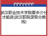武汉职业技术学院要多少分才能进(武汉职院录取分数线)