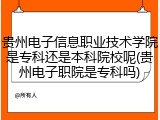 贵州电子信息职业技术学院是专科还是本科院校呢(贵州电子职院是专科吗)