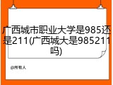 广西城市职业大学是985还是211(广西城大是985211吗)