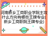 河南新乡工商职业学院主攻什么方向有哪些王牌专业(新乡工商职院王牌专业)