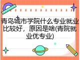 青岛城市学院什么专业就业比较好，原因是啥(青院就业优专业)