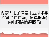 内蒙古电子信息职业技术学院含金量量吗，值得报吗(内电职院值得报吗)