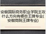 安徽国际商务职业学院主攻什么方向有哪些王牌专业(安徽商院王牌专业)