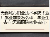 无锡城市职业技术学院毕业后就业前景怎么样，毕业生去向(无锡职院就业去向)