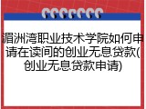 湄洲湾职业技术学院如何申请在读间的创业无息贷款(创业无息贷款申请)