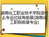 湖南化工职业技术学院读什么专业比较有前景(湖南化工职院前景专业)