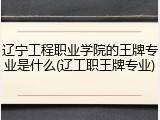 辽宁工程职业学院的王牌专业是什么(辽工职王牌专业)