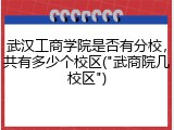 武汉工商学院是否有分校，共有多少个校区("武商院几校区")