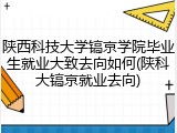 陕西科技大学镐京学院毕业生就业大致去向如何(陕科大镐京就业去向)