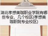 湖北孝感美珈职业学院有哪些专业，几个校区(孝感美珈职院专业校区)