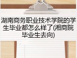 湖南商务职业技术学院的学生毕业都怎么样了(湘商院毕业生去向)