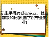 凯里学院有哪些专业，就业前景如何(凯里学院专业就业)