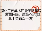 河北工艺美术职业学院是双一流高校吗，简单介绍(河北工美非双一流)