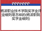 杨凌职业技术学院奖学金评定细则是怎样的(杨凌职院奖学金细则)